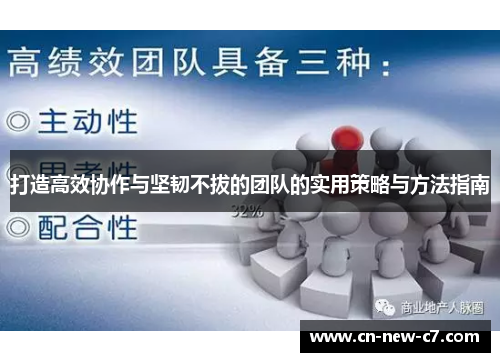 打造高效协作与坚韧不拔的团队的实用策略与方法指南