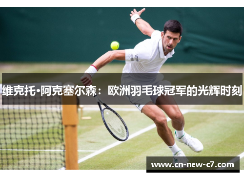 维克托·阿克塞尔森：欧洲羽毛球冠军的光辉时刻