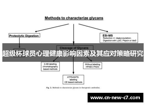 超级杯球员心理健康影响因素及其应对策略研究