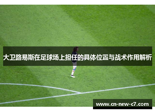 大卫路易斯在足球场上担任的具体位置与战术作用解析