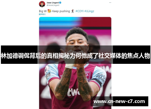 林加德调侃背后的真相揭秘为何他成了社交媒体的焦点人物