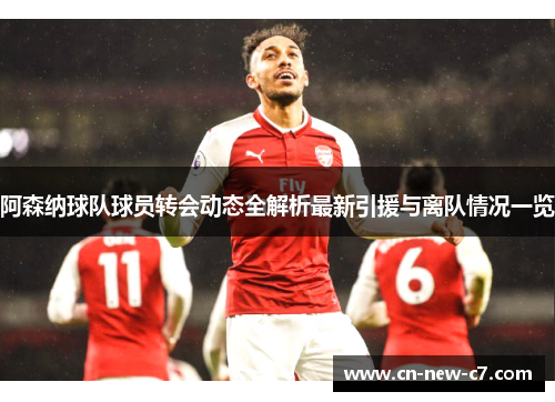 阿森纳球队球员转会动态全解析最新引援与离队情况一览 阿森纳球队球员转会动态全解析最新引援与离队情况一览