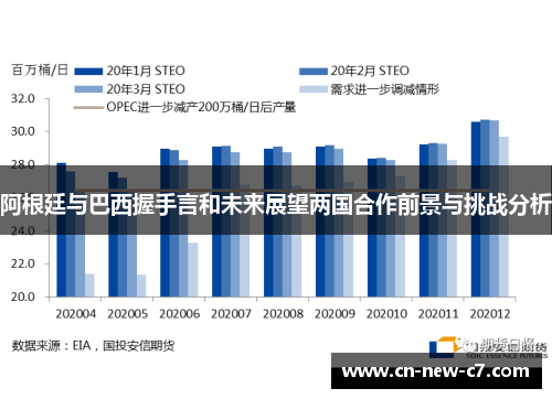 阿根廷与巴西握手言和未来展望两国合作前景与挑战分析