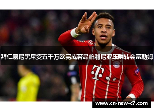 拜仁慕尼黑斥资五千万欧完成若昂帕利尼亚压哨转会富勒姆