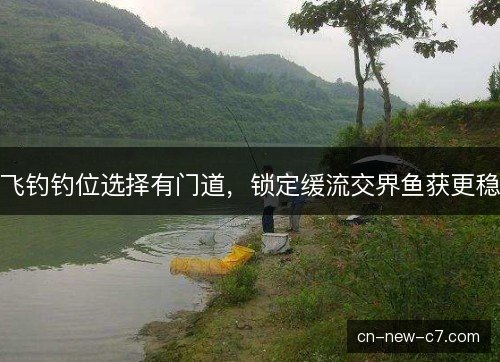 飞钓钓位选择有门道，锁定缓流交界鱼获更稳