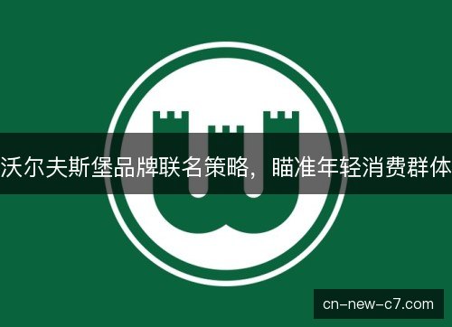 沃尔夫斯堡品牌联名策略，瞄准年轻消费群体